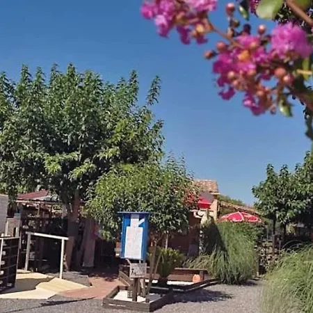 3 Etoiles - Piscine - Eebibh * Massillargues-Attuech